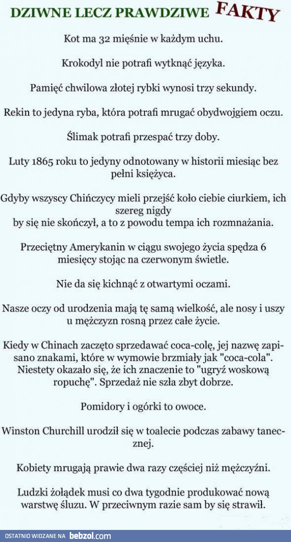 Garść ciekawostek