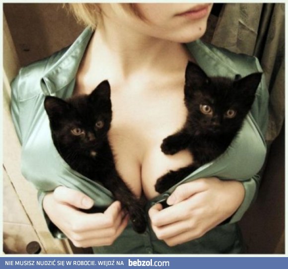 Chętnie bym się zamienił ;-)