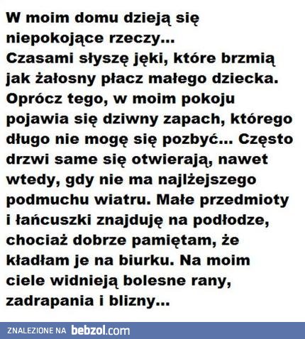 Czyżby u mnie straszyło? Spokojnie to tylko kot