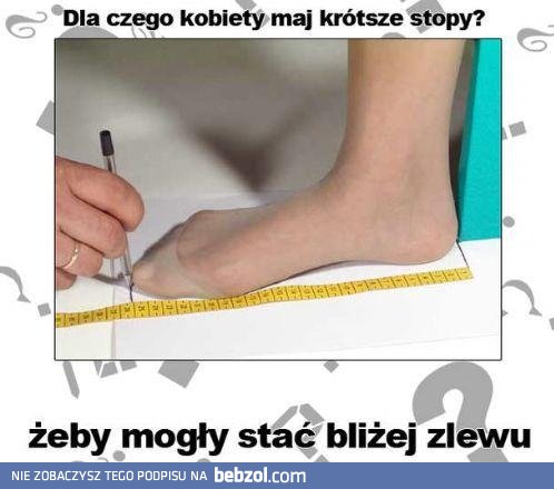 Dlaczego mają krótkie stopy?