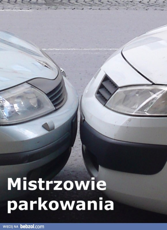 Mistrz kierownicy