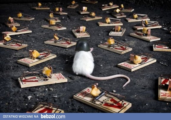 Hmmm..co by tu teraz..