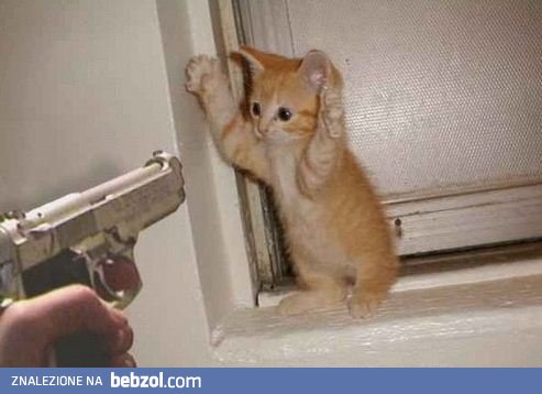 No pliss..nie rób tego