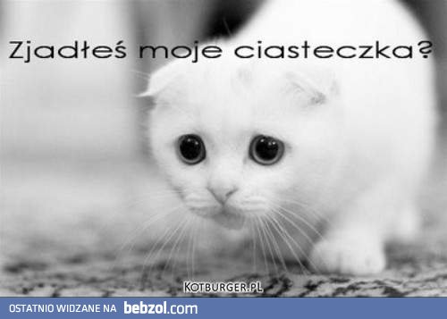 Gdzie są jego ciasteczka! 