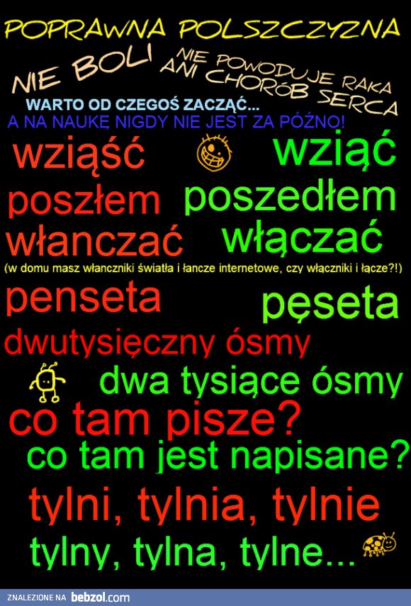 Z poprawną polszczyzną na co dzień