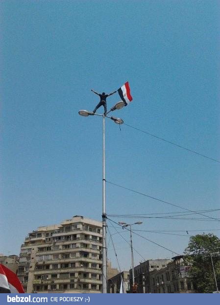 On to chyba uwielbia wchodzić na latarnie.. 