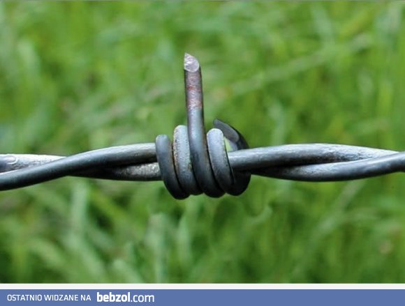 drut kolczasty przesyła dla wszystkich wiadomość..