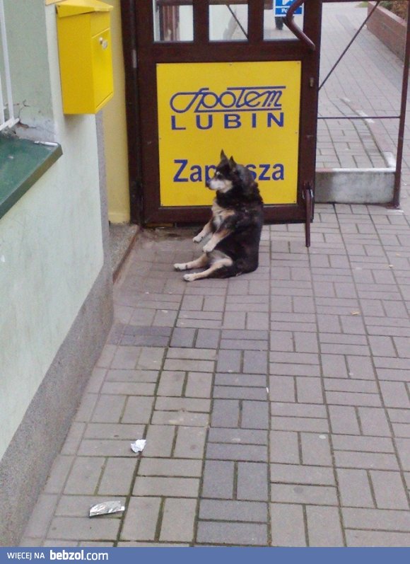 Wszystko pod kontrolą