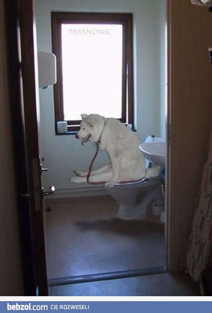 To wszystko przez ten obiad.. 