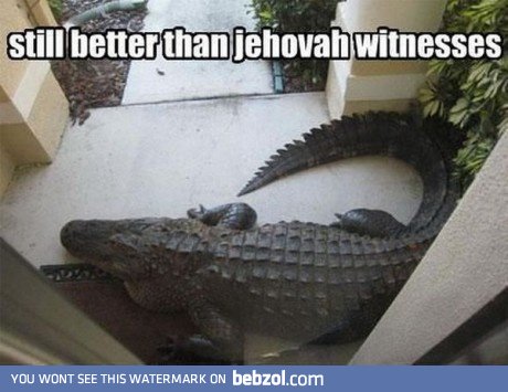 Knock knock, who's there?