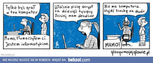 Tak wygląda życie informatyka