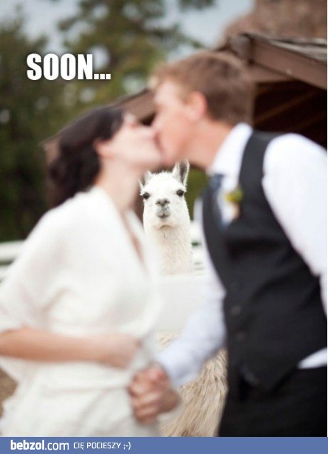 Niedługo... Będzie moja!