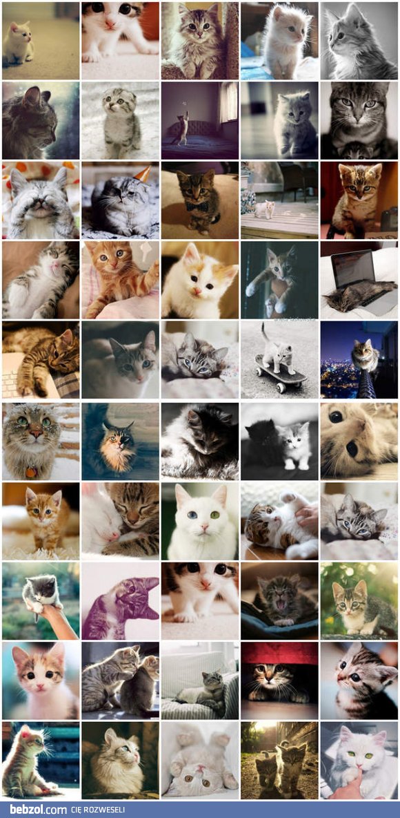 Słodkie kociaczki :-)