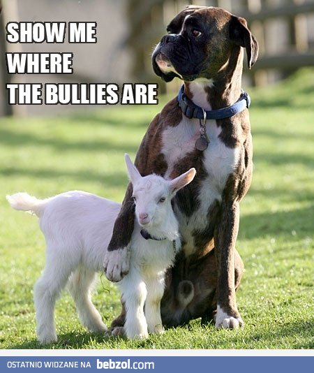 Pokaż mi, gdzie oni są