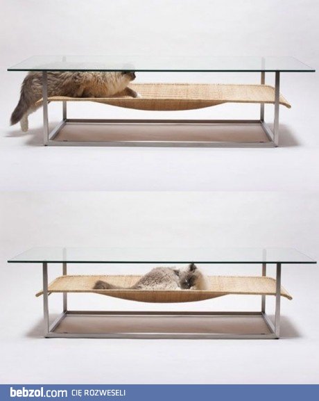 Stół dla ciebie, łóżko dla kota