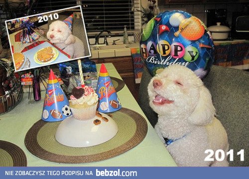 Moje urodziny! 