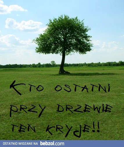 Początek zabawy w chowanego :)