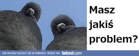 Masz jakiś problem?