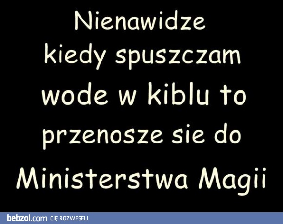 Przenoszę się do Ministerstwa Magii