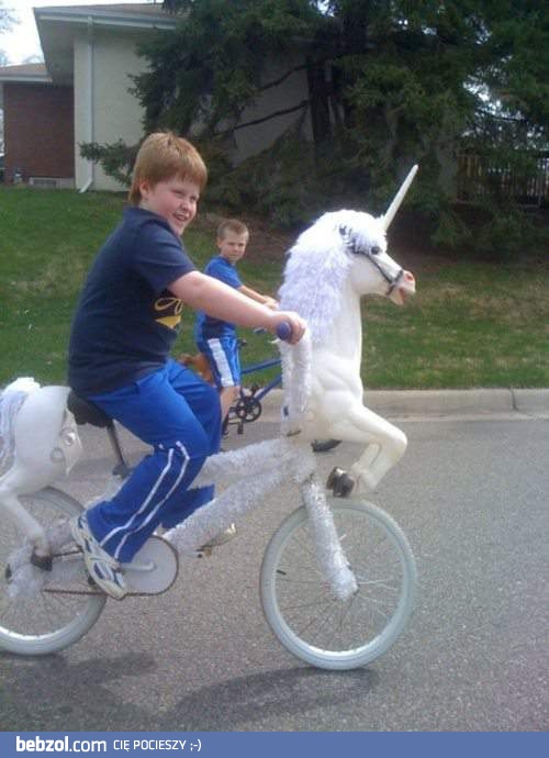 Każdy ma takiego jednorożca, na jakiego może sobie pozwolić