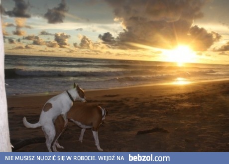 Zachód słońca ;-)