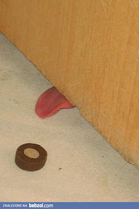 Tak blisko, to może spróbuję 