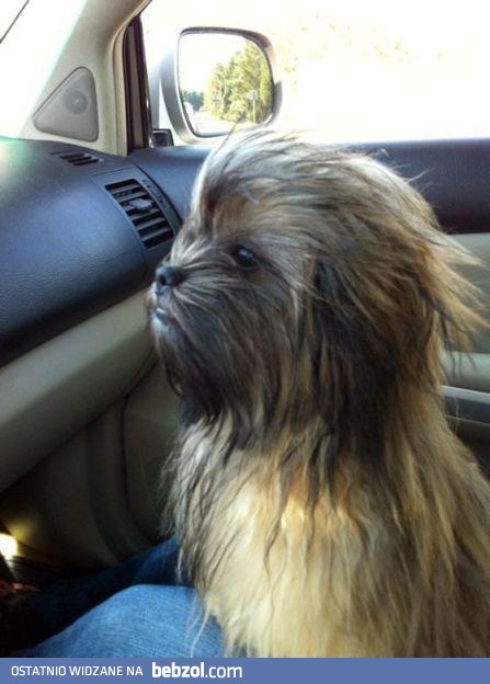 Poczułem wiatr we włosach 