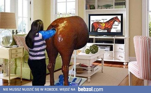 Zabawa w weterynarza