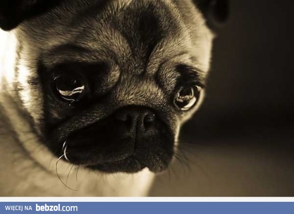 Przestańcie się śmiać ze mnie.. 