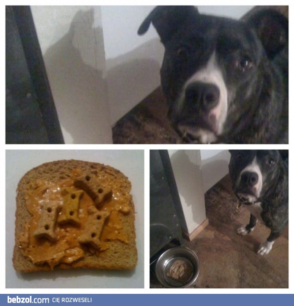 Co to jest? Gdzie jest moja karma? 