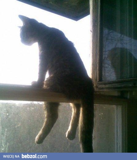 siedzę sobie a co mam robić?