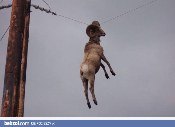 Czy ktoś może to wyjaśnić?