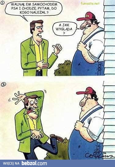 A jak wyglądał? 