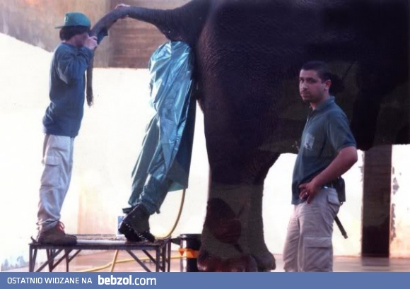 Mówisz, że twoja praca jest zła?