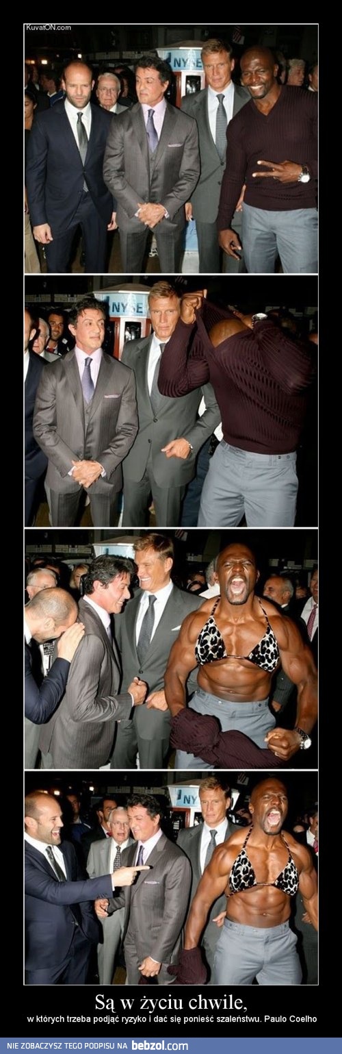 Daj ponieść się szaleństwu! 