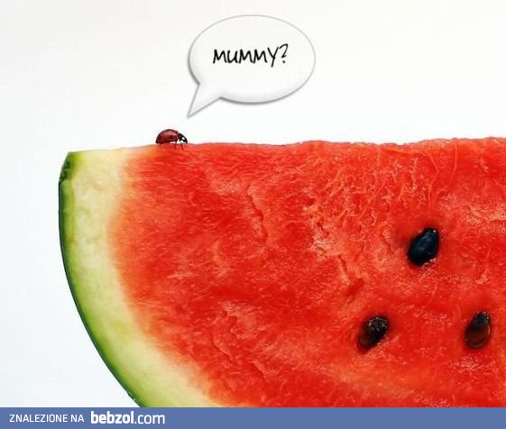 Zaskakujące podobieństwo