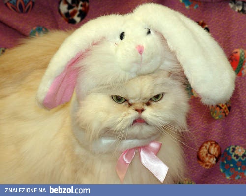 Chyba się zdenerwował