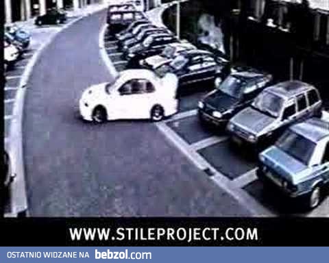 Mistrz parkowania 