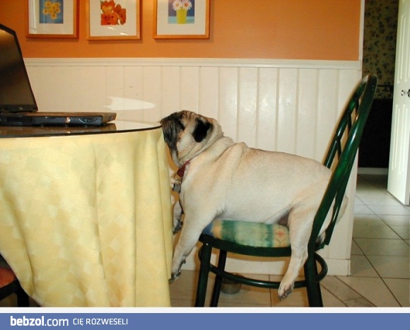 Na dziś mam już dość..