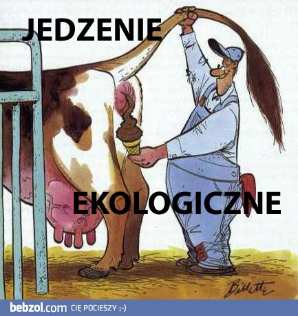 Naturalne lody włoskie 