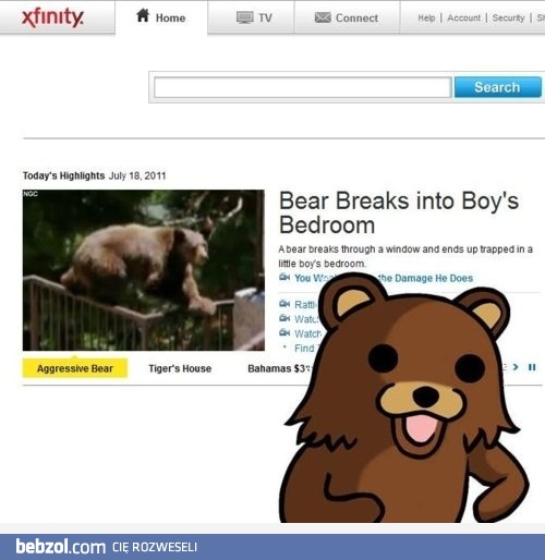 Niedźwiedź włamuje się do pokoju chłopca