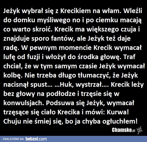 Krecik i jeżyk