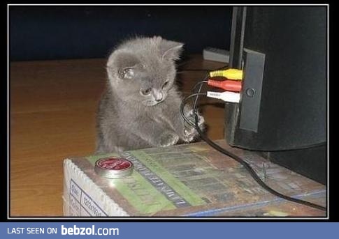 Don't worry, I will fix it 