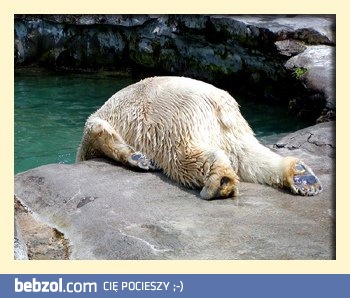 Niedzielny poranek po sobotniej imprezie