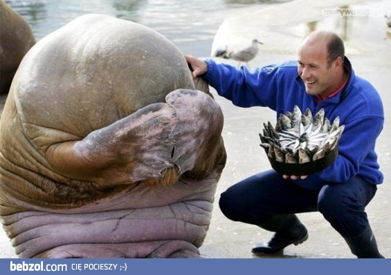 Nie płacz... Za tydzień znowu będzie niedziela..