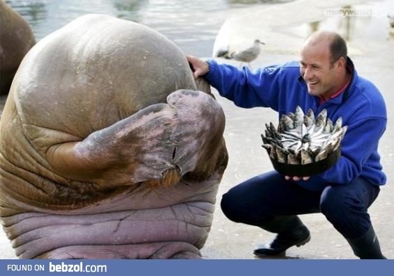 Don't cry, you're a princess