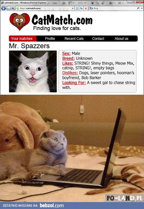 W poszukiwaniu miłości 