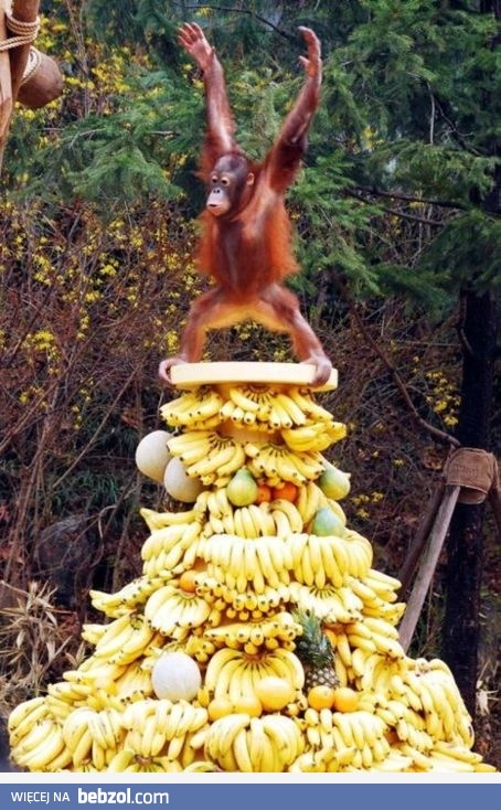 I kto jest mistrze? :-)