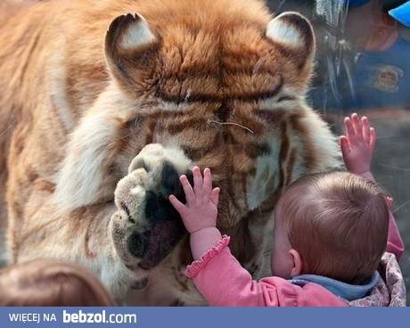 Wyciągnę cię stąd, obiecuję!