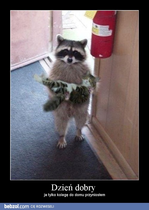 Dzień Dobry ja tylko kolegę..